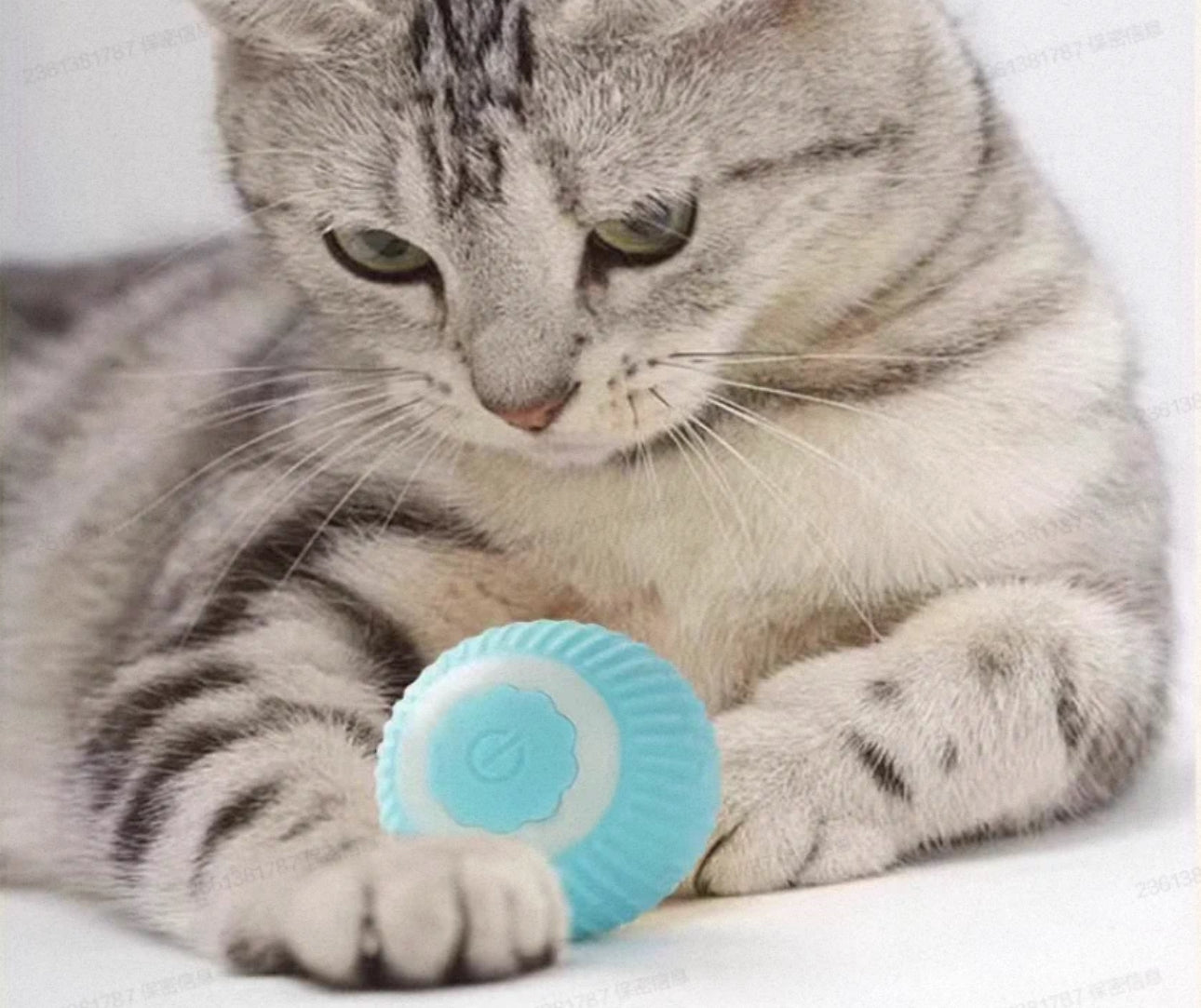 Combo Cepillo Vapor + Pelota Interactiva – Cuidado y Diversión para tu Mascota