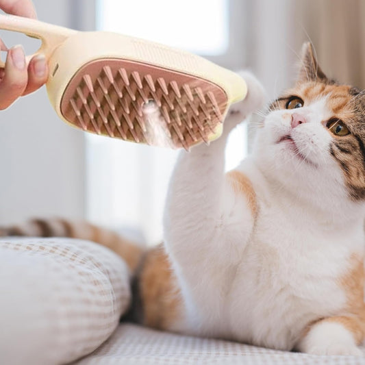 Combo Cepillo Vapor + Pelota Interactiva – Cuidado y Diversión para tu Mascota