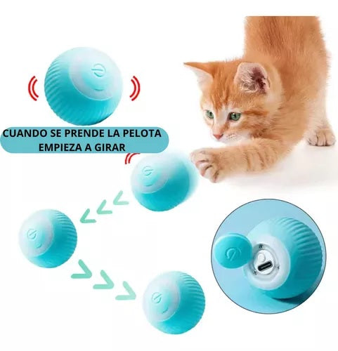 Combo Cepillo Vapor + Pelota Interactiva – Cuidado y Diversión para tu Mascota
