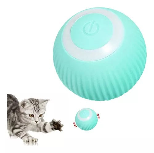Combo Cepillo Vapor + Pelota Interactiva – Cuidado y Diversión para tu Mascota
