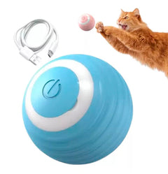 Combo Cepillo Vapor + Pelota Interactiva – Cuidado y Diversión para tu Mascota